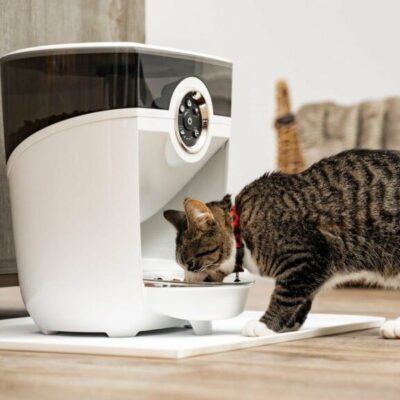 Pet-Friendly Gadgets: Spoil Your Furry Friend